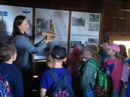 50149072611689799250299543662374349083495239n